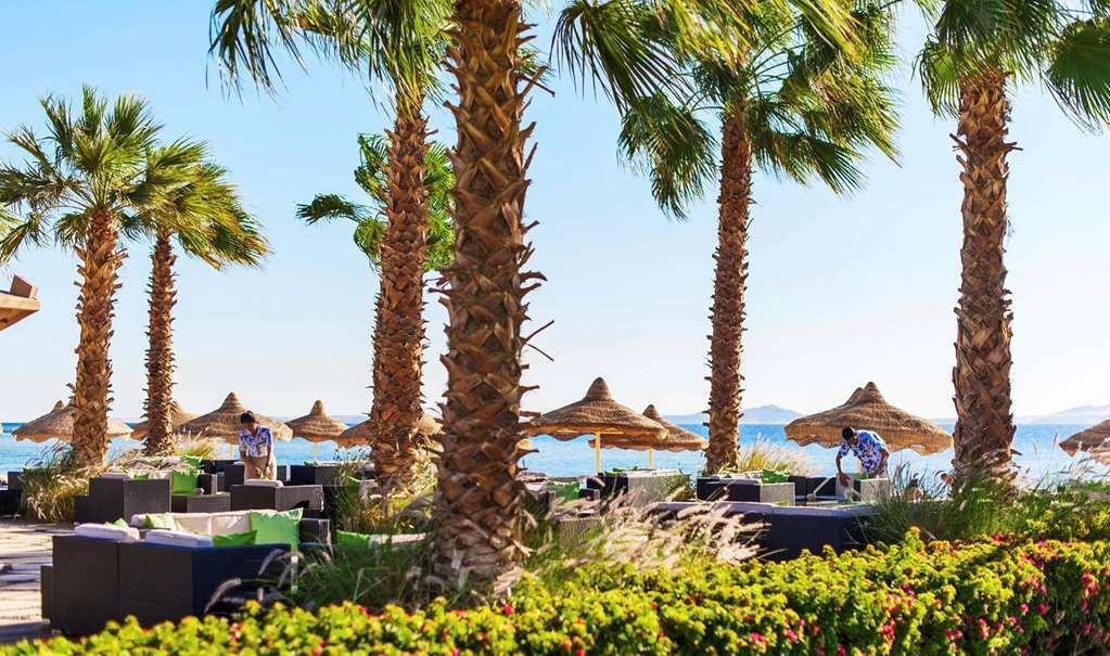 Baron Resort Sharm El Sheikh (Adults Only) Natureza foto