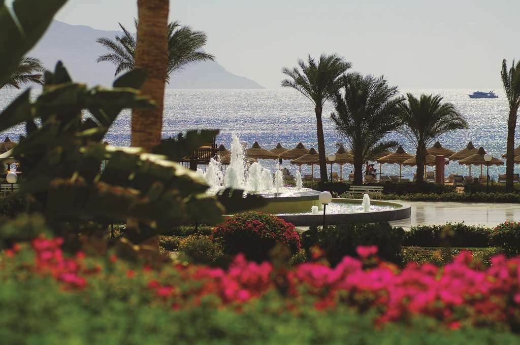 Baron Resort Sharm El Sheikh (Adults Only) Restaurante foto